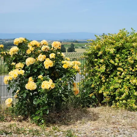 Proche Carcassonne * Escueillens